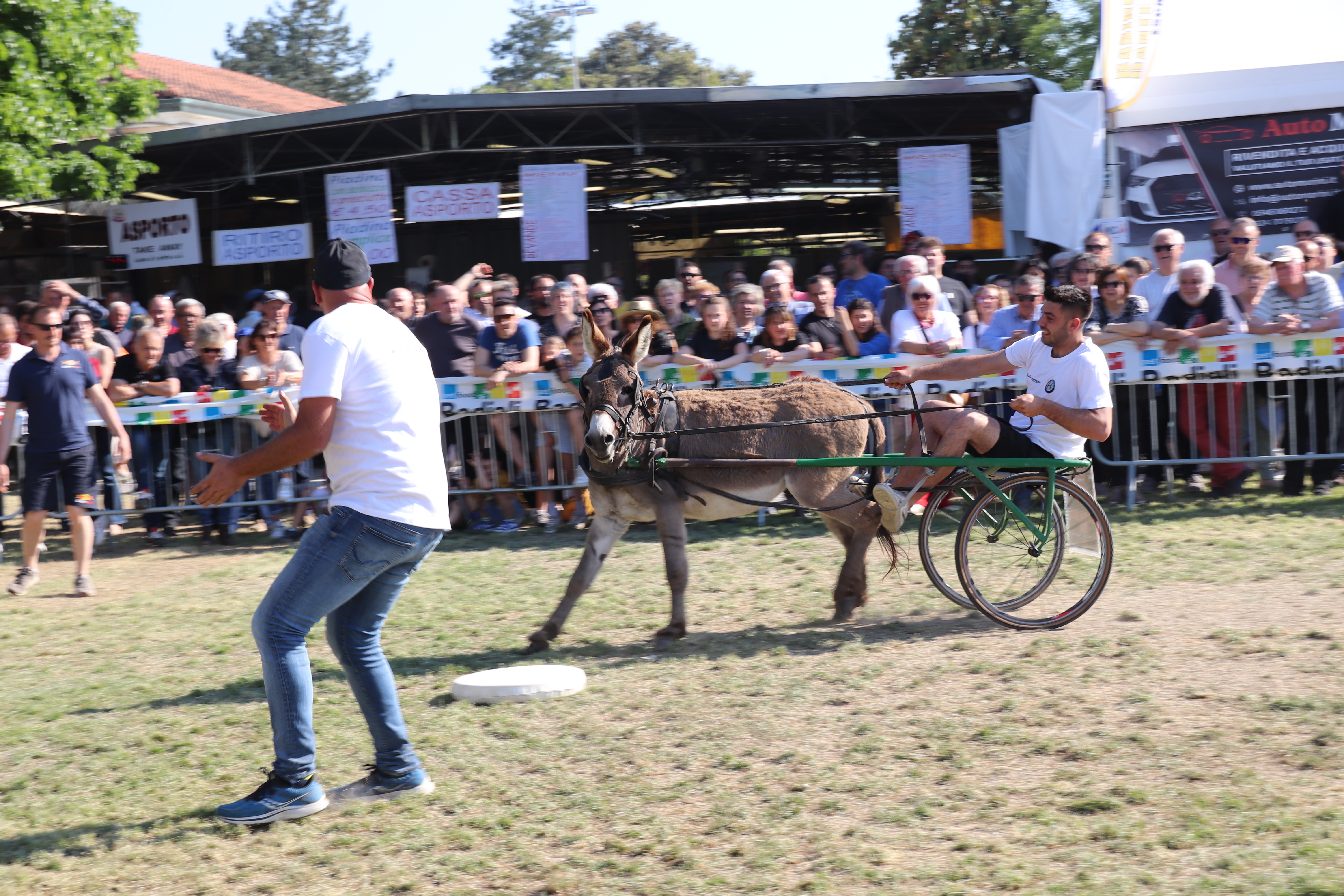 Biroccino e somaro in gara